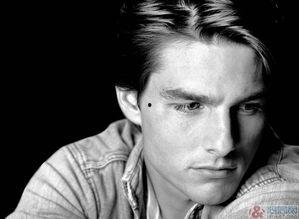 男明星照片白色背景