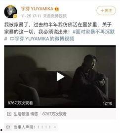 网红自爆遭家暴图,勇敢揭露黑暗背后的痛苦经历”
